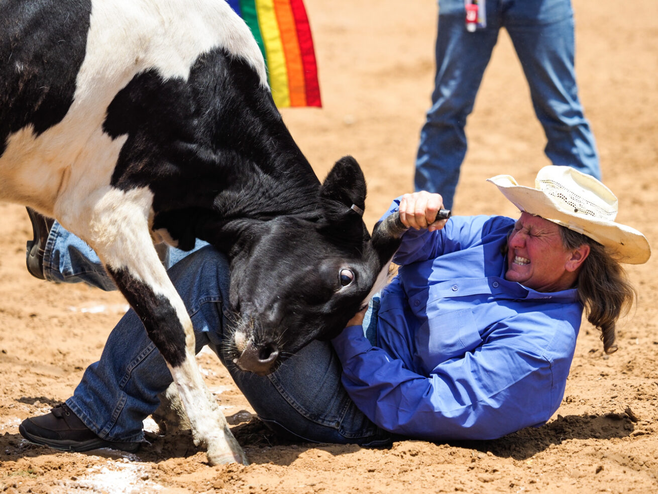 Contestants compete in chute dogging during The Texas Tradition Rodeo & Country Fair at The North Texas Fairgrounds, Saturday, May 25, 2019, in Denton, Texas.  The rodeo and country fair offers all the high points of the professional rodeo circuit — bull riding, barrel racing and calf roping.